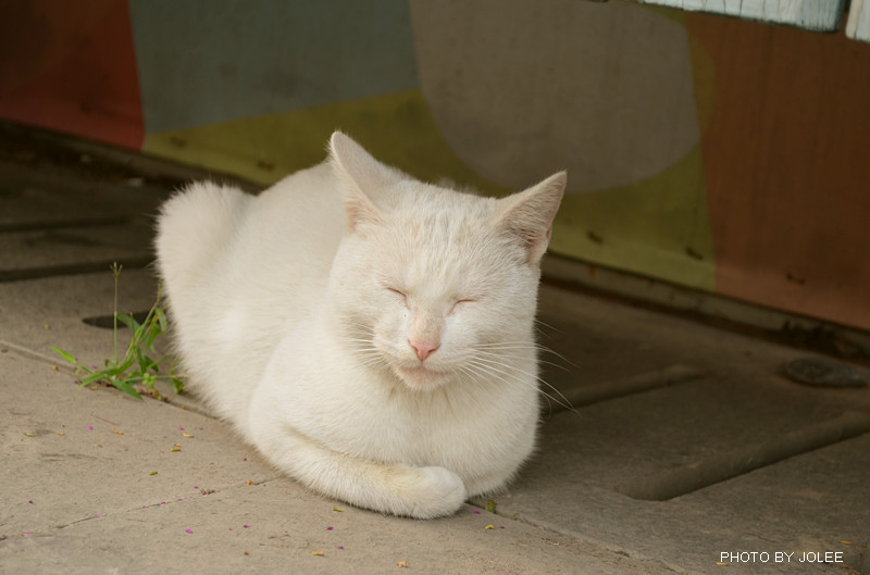 DSC_0597_.jpg