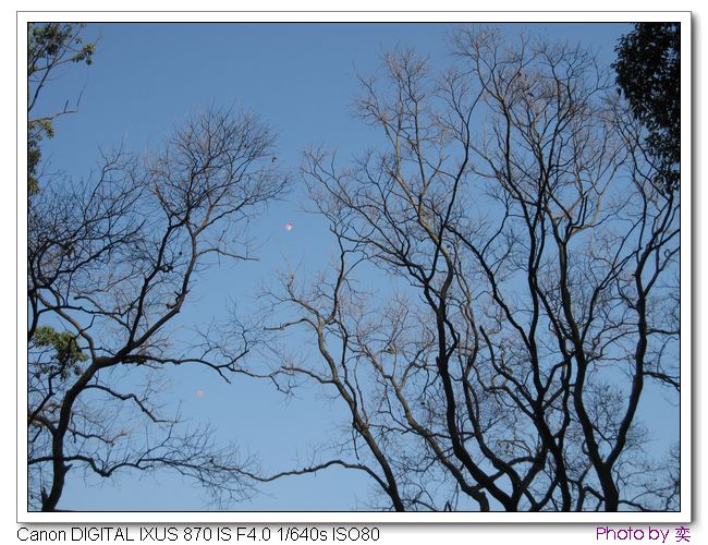 [ԭ]20101205 γ