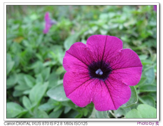 [ԭ]20101205 γ