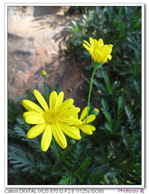 [ԭ]20101205 γ