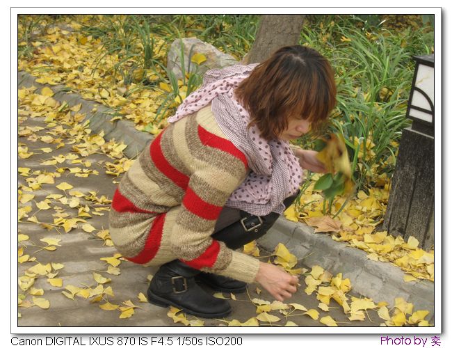 [ԭ]20101205 γ