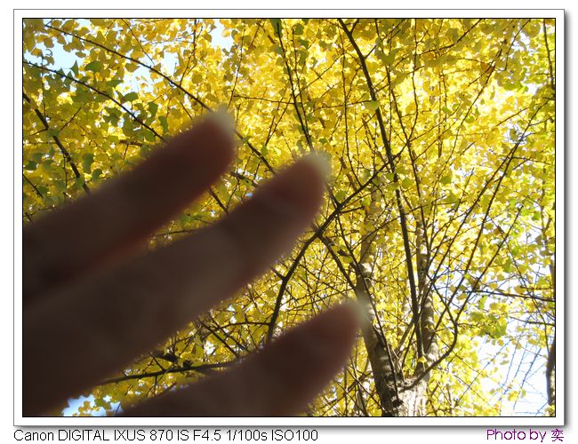 [ԭ]20101205 γ